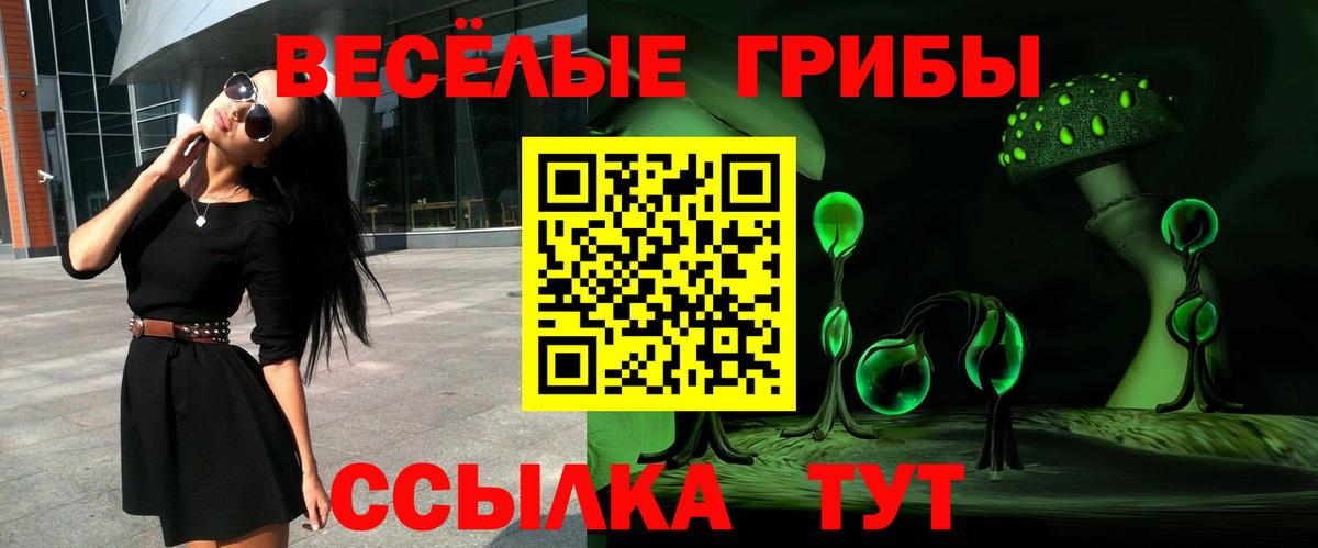 Галлюциногенные грибы Psilocybe  Галлюциногенные грибы Psilocybe  Аргун  Вход с VPN 
